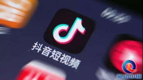 南京抖音新闻爆料入口,实时掌握城市动态的便捷通道