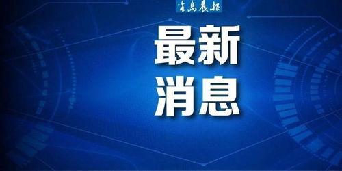 大连半岛晨报新闻爆料,真相揭秘，引发社会关注