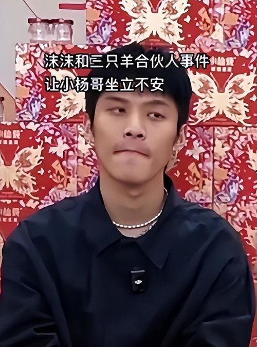 北京永琪爆料事件视频播放,视频内容引发热议