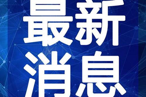 台湾迷途最新爆料视频,揭秘事件内幕，真相令人震惊