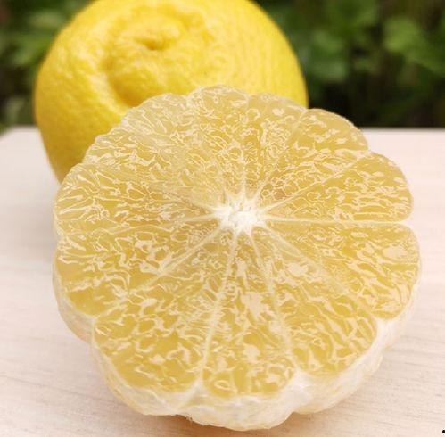 爆料鲜甜柚子怎么做的视频,跟随视频轻松学会柚子新吃法