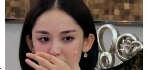 娜扎被爆料视频全集播放,真相与争议背后的故事