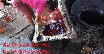 辣条生产爆料视频大全,爆料视频大全深度解析