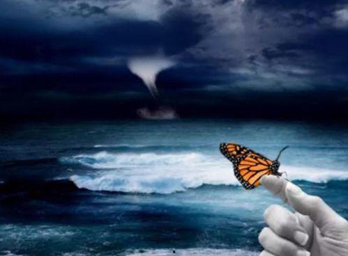 蝴蝶效应1 在线观看,命运之翼的微妙转折