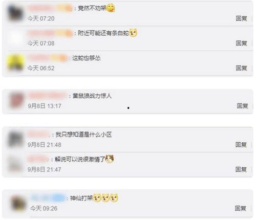 北京某小区爆料新闻视频,业主维权事件引发关注