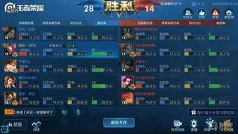 幻塔剑仙名字最新爆料大全,揭秘最新爆料大全，探寻神秘仙侠世界