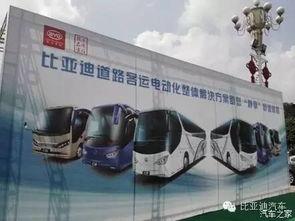 深圳比亚迪爆料新闻最新