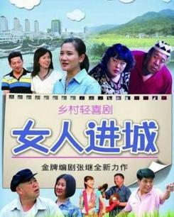 电视剧女人进城全集在线观看,职场奋斗与情感纠葛的精彩演绎