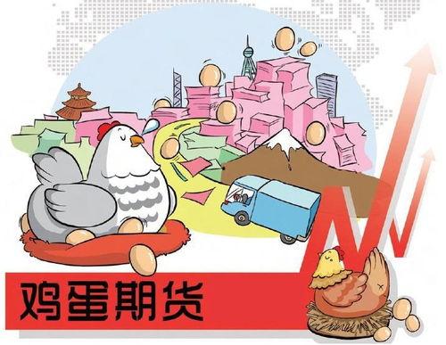 鸡蛋期货最新爆料