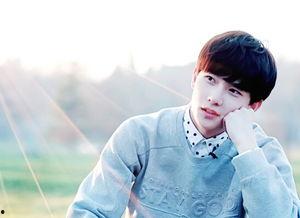 小薇爆料杨洋视频大全,杨洋视频大全精彩瞬间大汇总