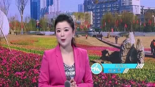 金牛区爆料新闻,揭秘神秘事件背后的真相