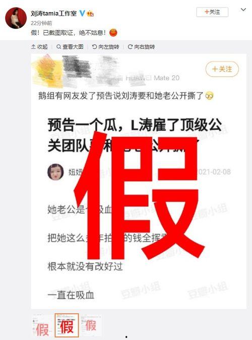 桃花坞爆料辟谣视频,辟谣背后的故事