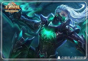 王者最新爆料白虎志