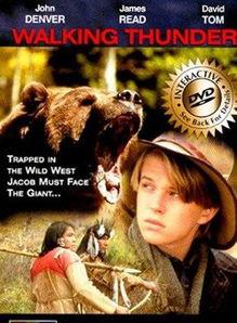 《熊》电影在线观看,一场惊心动魄的森林冒险之旅