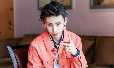 网红爆料王琳凯视频,真相揭秘引热议