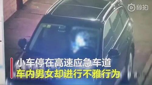 停车爆料视频大全最新